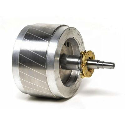 REACH Custom Permanent Magnetic Assembly Neodymium Rotor For Dc Motor